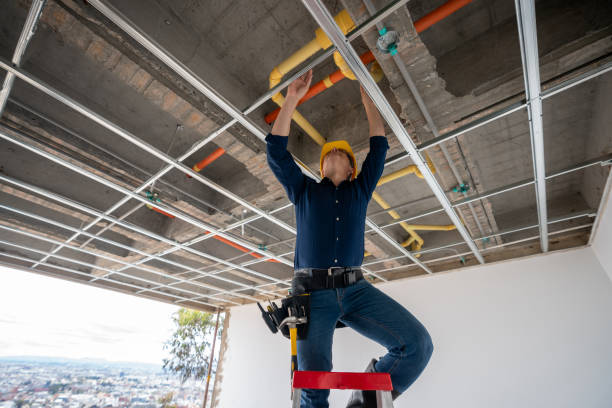 Best Emergency Plumber  in Vine Hill, CA